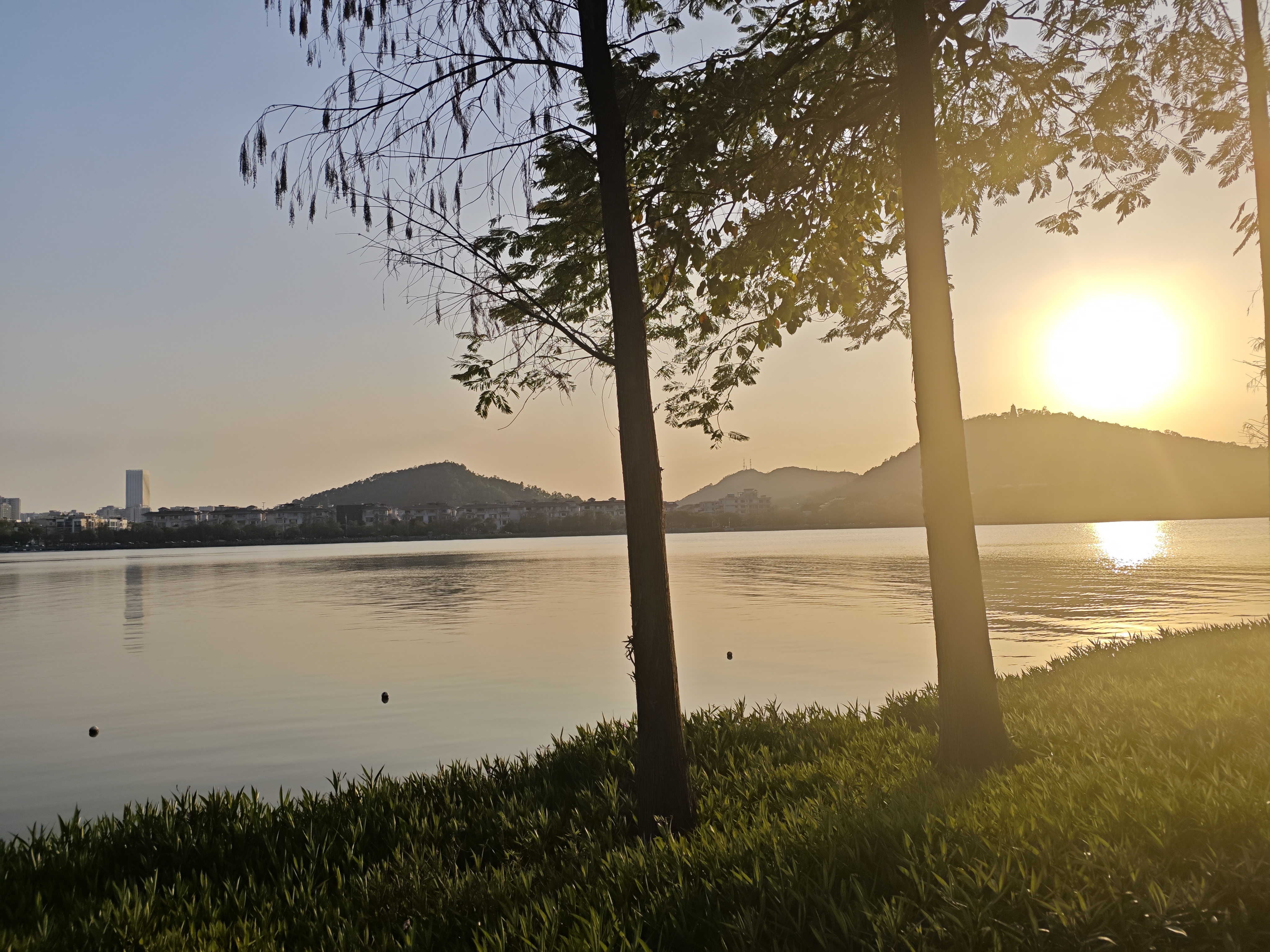 夏日黄昏相册封面